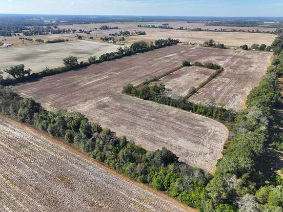 76 Acres of Agricultural Land for Sale in Greenwood, Florida