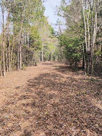 40 Acres of Recreational Land & Farm for Sale in Marion, Louisiana