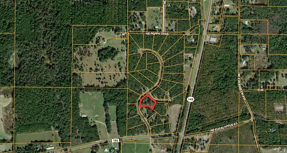 1.7 Acres of Residential Land for Sale in Pinetta, Florida