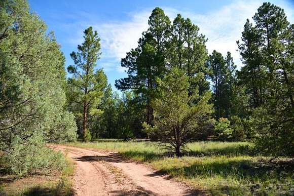 2,170 Acres of Improved Recreational Land & Farm for Sale in Ramah, New Mexico