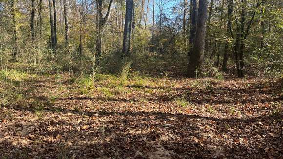 Elberton Land For Sale