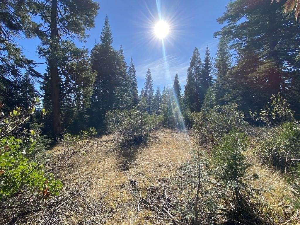 2.6 Acres of Residential Land for Sale in McCloud, California