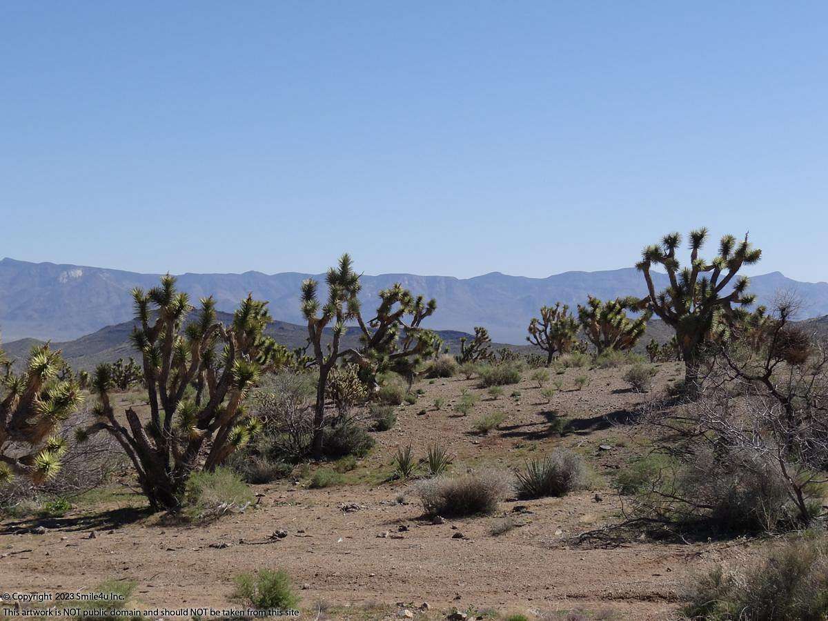 1.1 Acres of Residential Land for Sale in Dolan Springs, Arizona