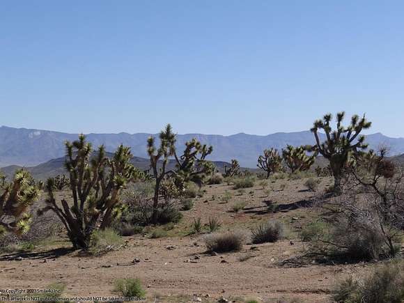 1.1 Acres of Residential Land for Sale in Dolan Springs, Arizona