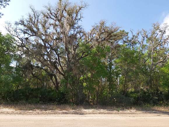 0.31 Acres of Residential Land for Sale in Interlachen, Florida