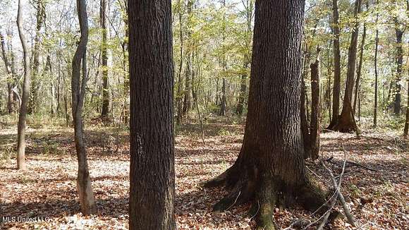 98.3 Acres of Recreational Land & Farm for Sale in Walnut, Mississippi