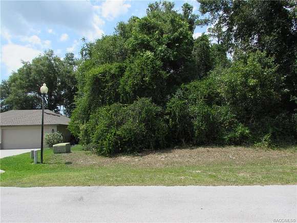 0.24 Acres of Residential Land for Sale in Hernando, Florida