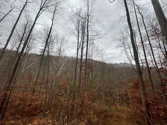 118 Acres of Recreational Land for Sale in Stanton, Kentucky