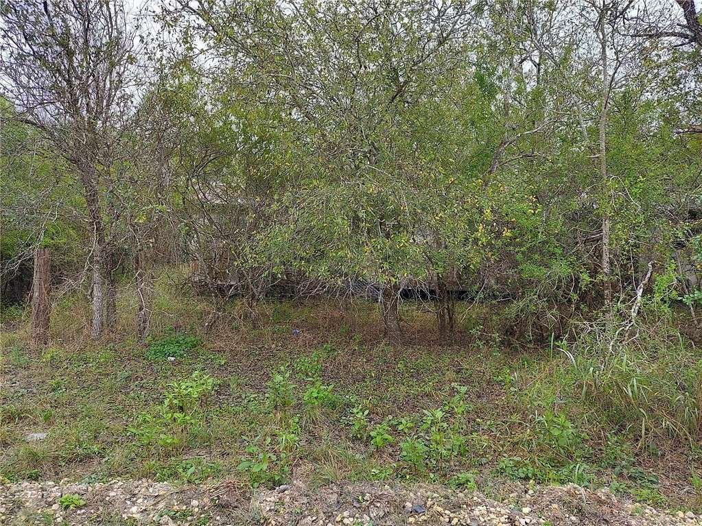 0.97 Acres of Land for Sale in Sandia, Texas