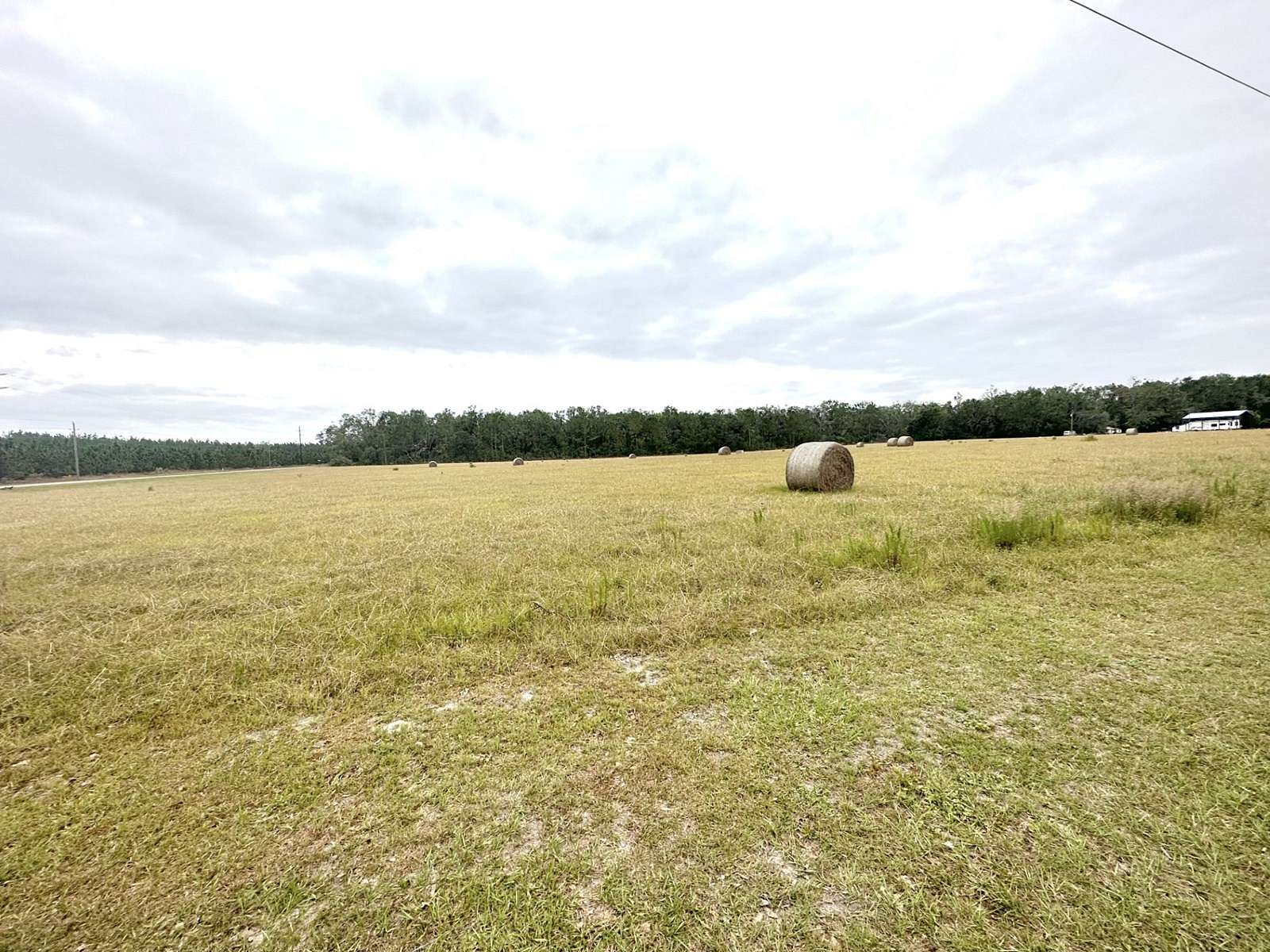 5 Acres of Land for Sale in Mayo, Florida