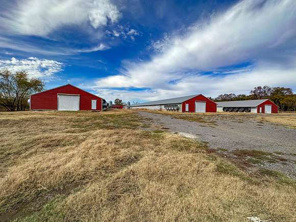 29.7 Acres of Agricultural Land for Sale in Danville, Arkansas