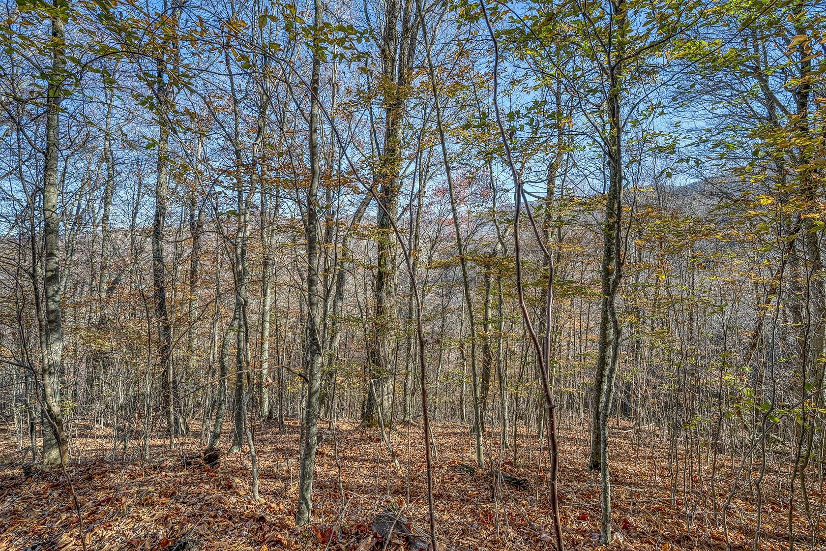 7.5 Acres of Residential Land for Sale in Roan Mountain, Tennessee