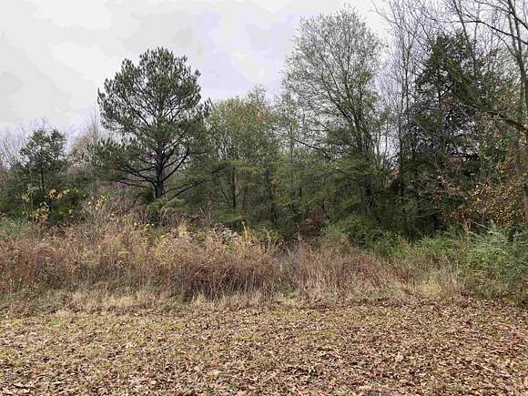 5.8 Acres of Land for Sale in Parks, Arkansas
