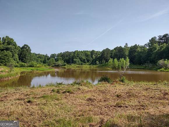 1.7 Acres of Residential Land for Sale in Hampton, Georgia