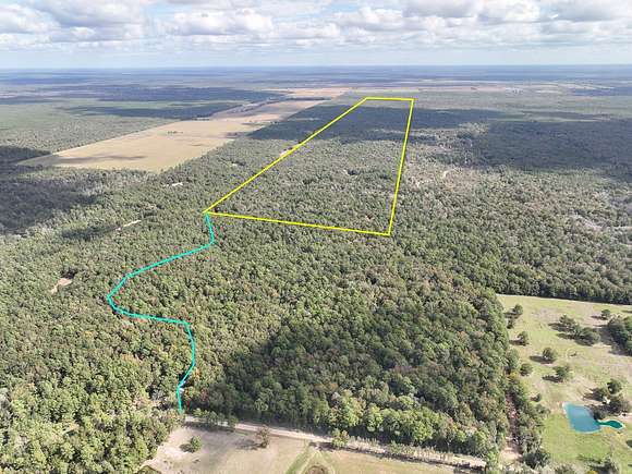 728 Acres of Recreational Land for Sale in Batson, Texas