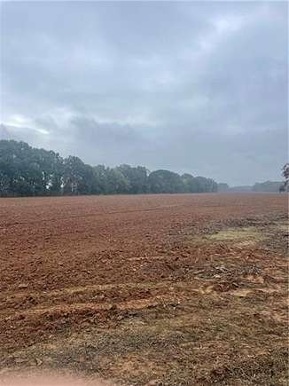 37.9 Acres of Recreational Land for Sale in Plaucheville, Louisiana