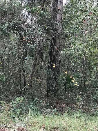 0.22 Acres of Land for Sale in Interlachen, Florida