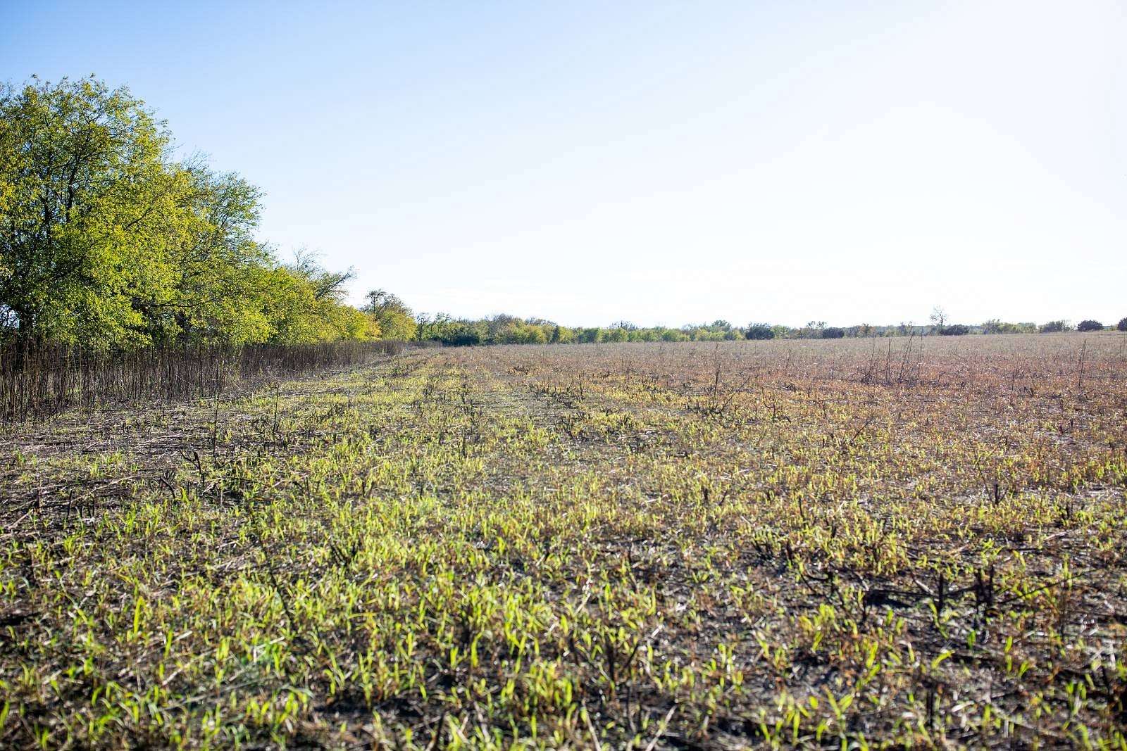 41 Acres of Agricultural Land for Sale in Hamilton, Texas