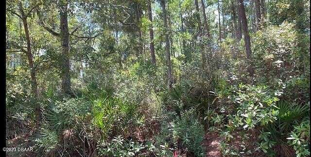 1.1 Acres of Residential Land for Sale in Georgetown, Florida