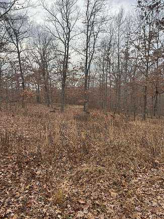 24.39 Acres of Recreational Land for Sale in Salem, Missouri