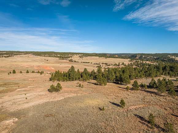 40 Acres of Land for Sale in Custer, South Dakota