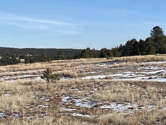 40 Acres Of Land For Sale In Custer South Dakota LandSearch   Custer Sd 112215749 