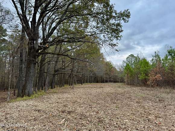 25.6 Acres of Recreational Land for Sale in Madison, Mississippi