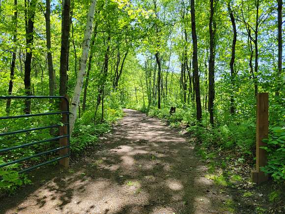 2 - Mainland Driveway