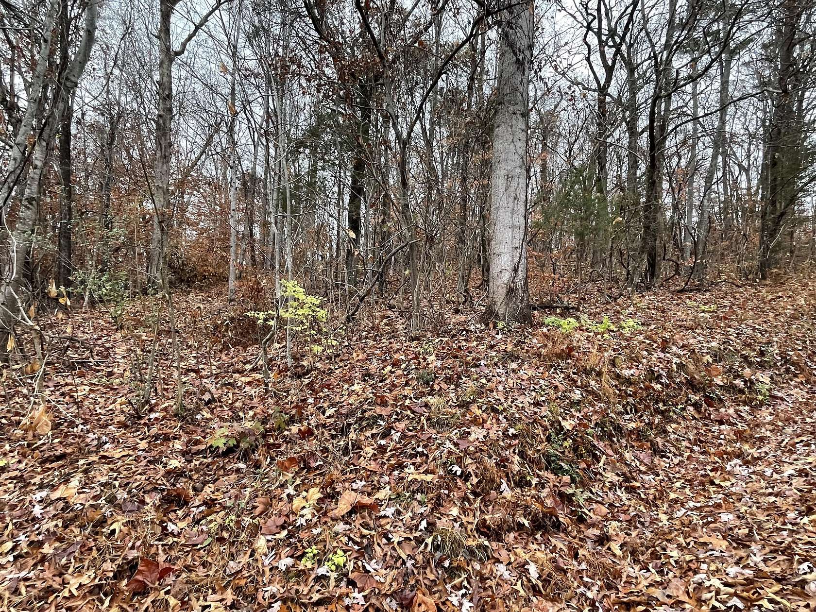 1.4 Acres of Residential Land for Sale in Rogersville, Tennessee