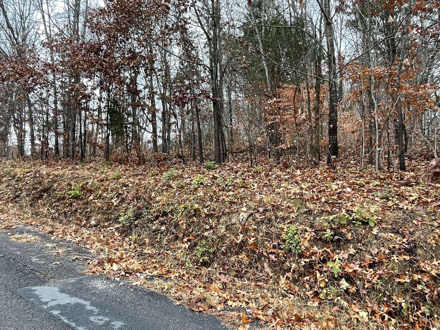 3.8 Acres of Land for Sale in Rogersville, Tennessee