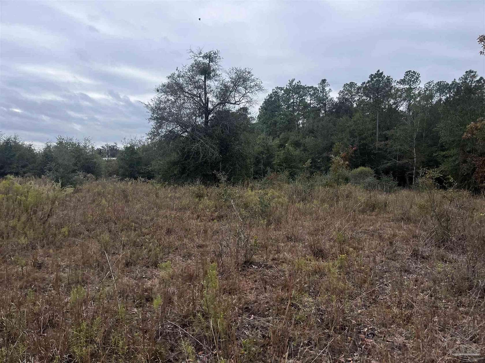 20 Acres of Agricultural Land for Sale in Milton, Florida