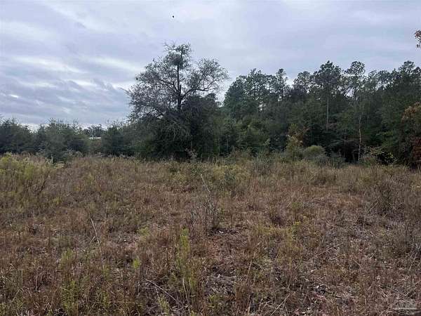 20 Acres of Recreational Land for Sale in Milton, Florida