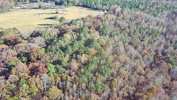10 Acres of Residential Land for Sale in Vinemont, Alabama
