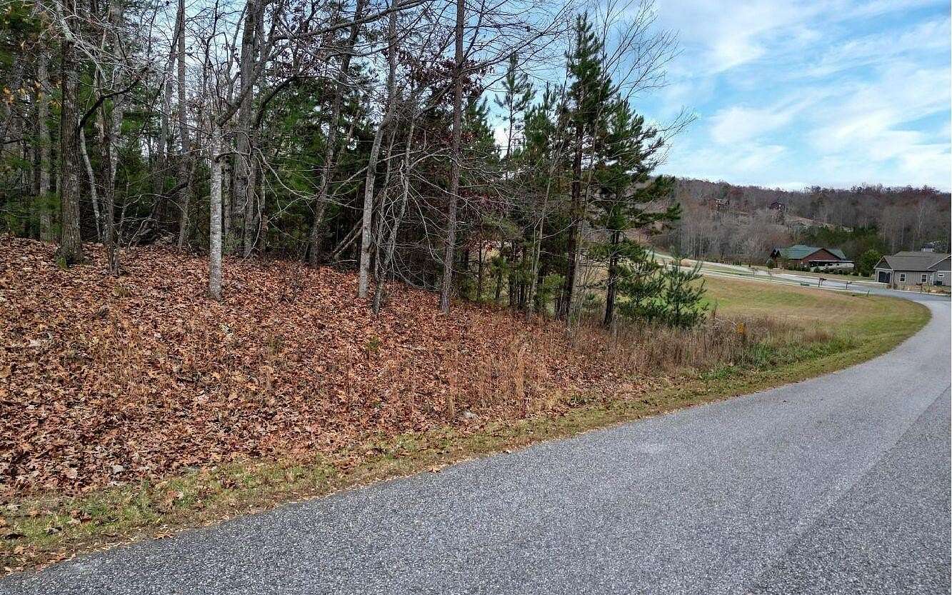 1 Acre of Land for Sale in Blairsville, Georgia