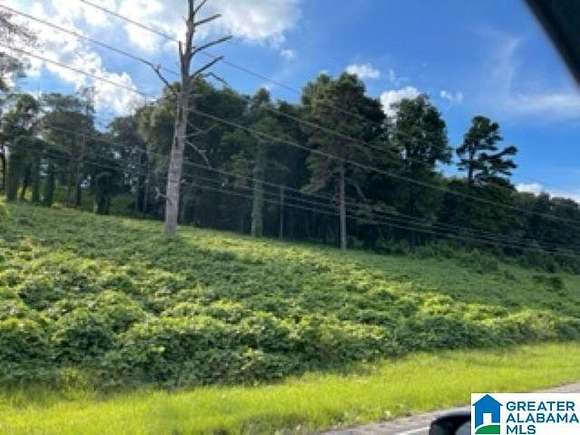 19 Acres of Commercial Land for Sale in Trussville, Alabama