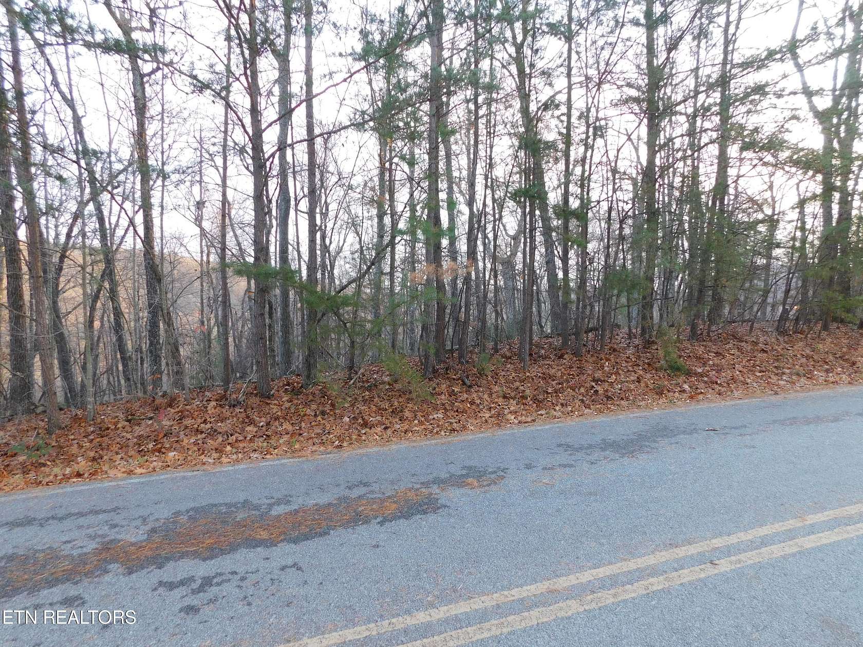 0.47 Acres of Land for Sale in Fairfield Glade, Tennessee