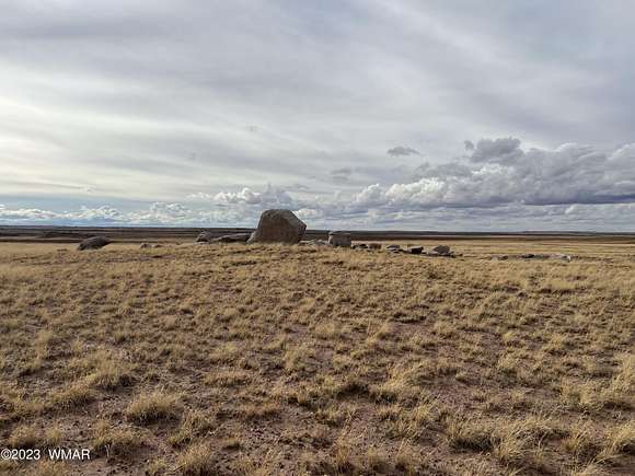 62.62 Acres of Agricultural Land for Sale in Concho, Arizona