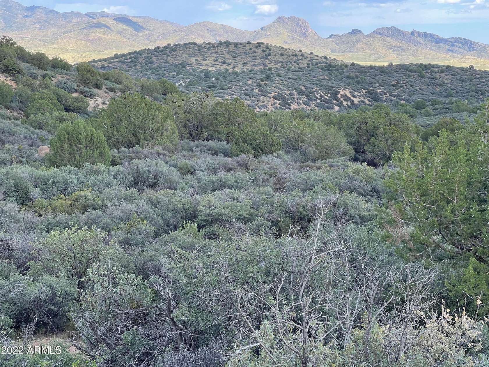 39.3 Acres of Recreational Land & Farm for Sale in Wikieup, Arizona