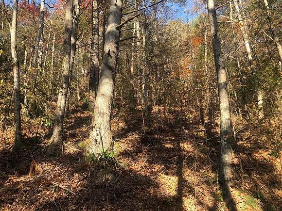 9.2 Acres of Residential Land for Sale in Sevierville, Tennessee