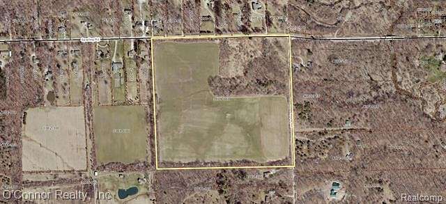 40 Acres of Agricultural Land for Sale in Goodells, Michigan
