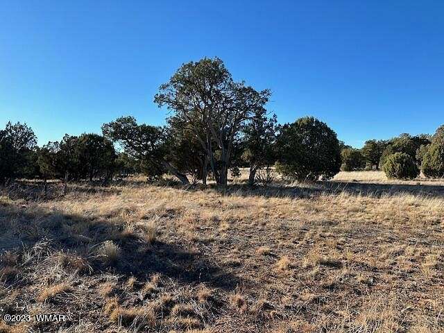 2 Acres of Residential Land for Sale in Show Low, Arizona