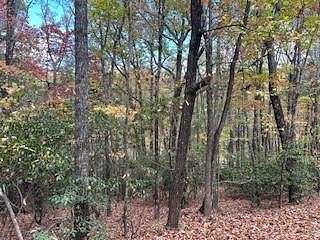 2 Acres of Residential Land for Sale in Dawsonville, Georgia