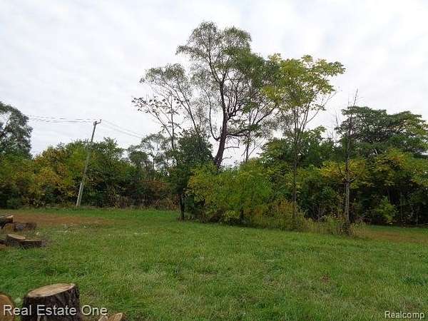 0.14 Acres of Residential Land for Sale in Detroit, Michigan