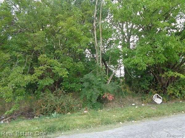 0.09 Acres of Residential Land for Sale in Detroit, Michigan