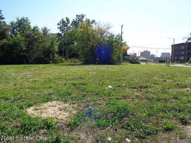 0.02 Acres of Residential Land for Sale in Detroit, Michigan