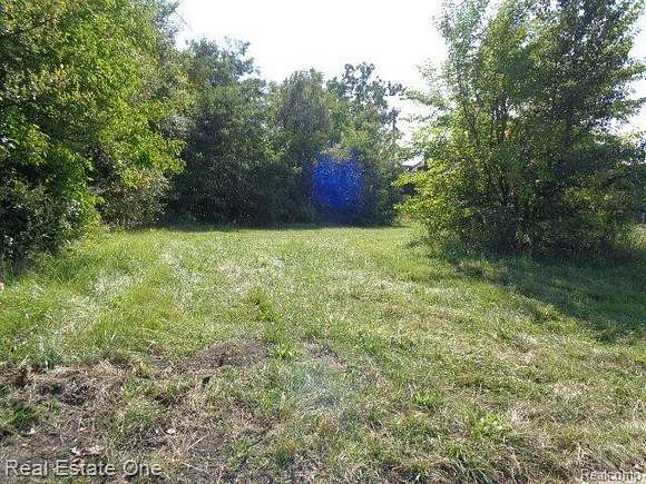 0.02 Acres of Residential Land for Sale in Detroit, Michigan