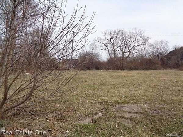 0.08 Acres of Residential Land for Sale in Detroit, Michigan