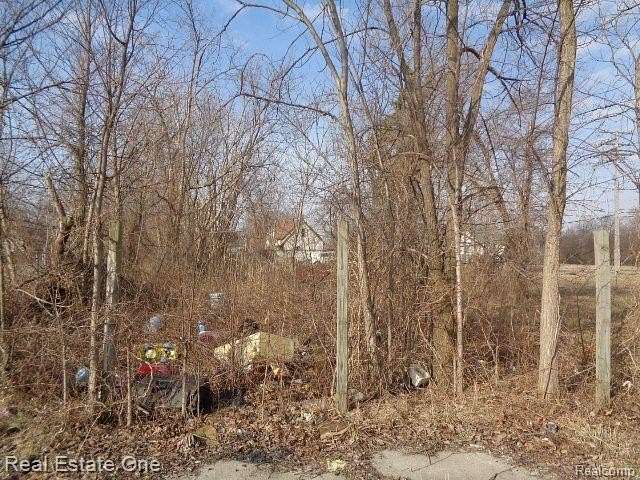 0.08 Acres of Residential Land for Sale in Detroit, Michigan
