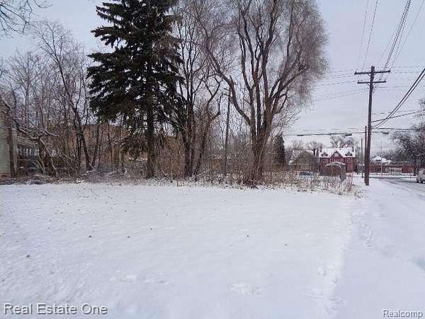 0.1 Acres of Residential Land for Sale in Detroit, Michigan