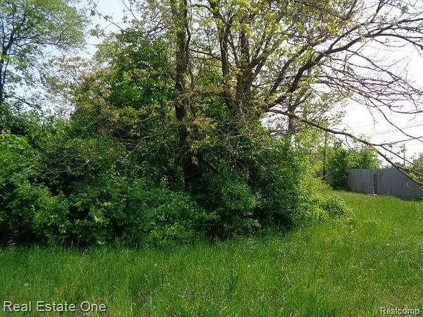 0.11 Acres of Residential Land for Sale in Detroit, Michigan
